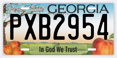 GA license plate PXB2954