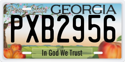 GA license plate PXB2956