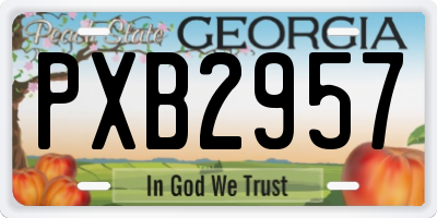 GA license plate PXB2957