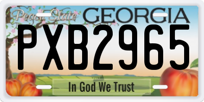 GA license plate PXB2965