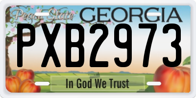 GA license plate PXB2973