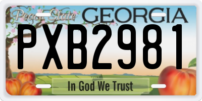 GA license plate PXB2981