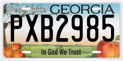 GA license plate PXB2985