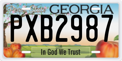 GA license plate PXB2987