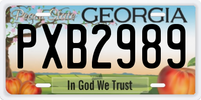 GA license plate PXB2989