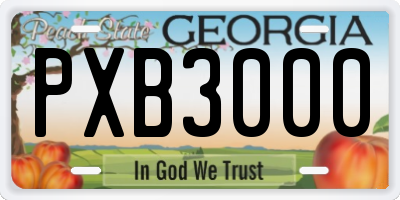 GA license plate PXB3000