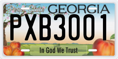 GA license plate PXB3001