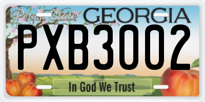 GA license plate PXB3002