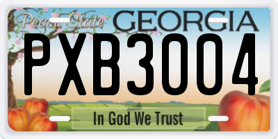 GA license plate PXB3004