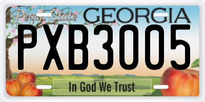 GA license plate PXB3005