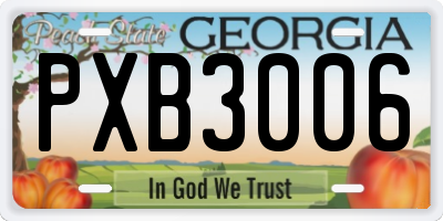 GA license plate PXB3006