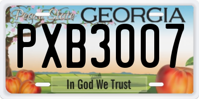 GA license plate PXB3007