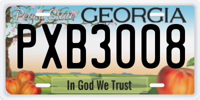GA license plate PXB3008