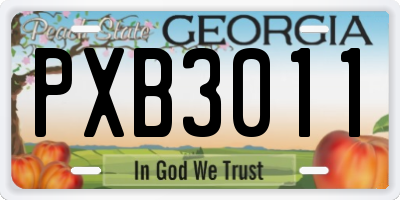 GA license plate PXB3011