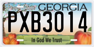 GA license plate PXB3014