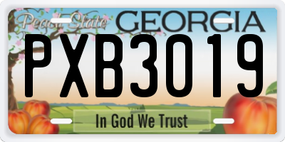 GA license plate PXB3019