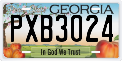 GA license plate PXB3024