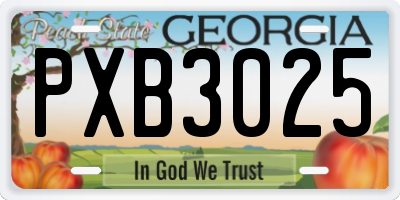 GA license plate PXB3025