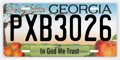 GA license plate PXB3026