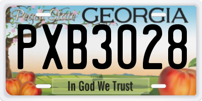 GA license plate PXB3028