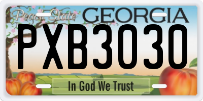 GA license plate PXB3030