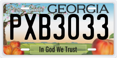 GA license plate PXB3033