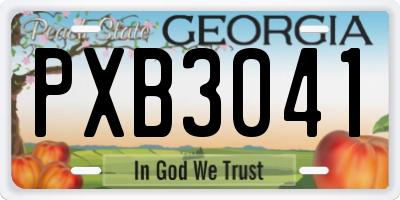 GA license plate PXB3041