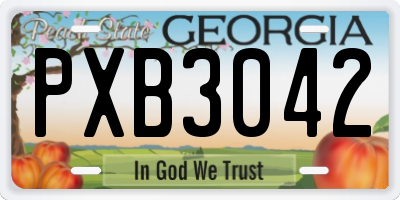 GA license plate PXB3042