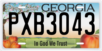 GA license plate PXB3043