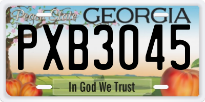 GA license plate PXB3045