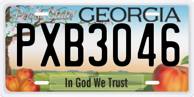 GA license plate PXB3046