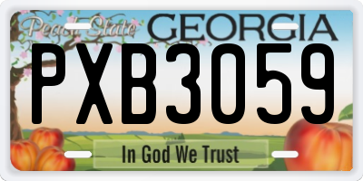 GA license plate PXB3059