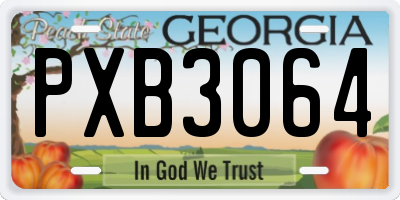 GA license plate PXB3064