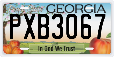 GA license plate PXB3067