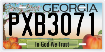 GA license plate PXB3071