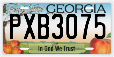 GA license plate PXB3075