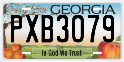 GA license plate PXB3079