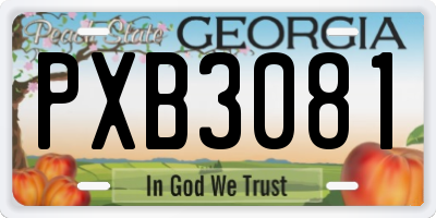 GA license plate PXB3081