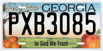 GA license plate PXB3085