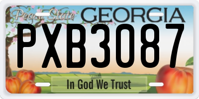 GA license plate PXB3087