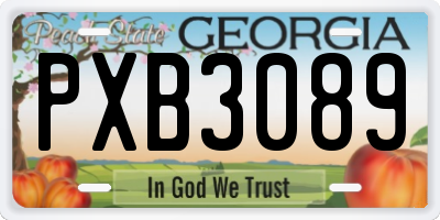 GA license plate PXB3089