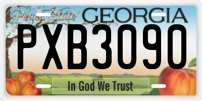 GA license plate PXB3090