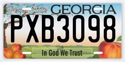GA license plate PXB3098