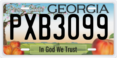 GA license plate PXB3099