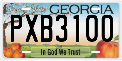 GA license plate PXB3100