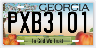 GA license plate PXB3101
