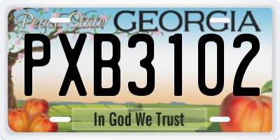 GA license plate PXB3102