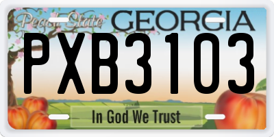 GA license plate PXB3103