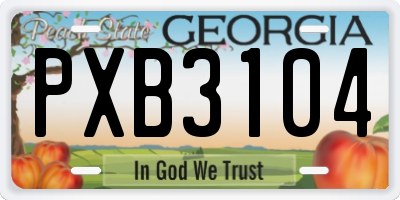 GA license plate PXB3104