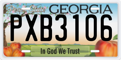 GA license plate PXB3106